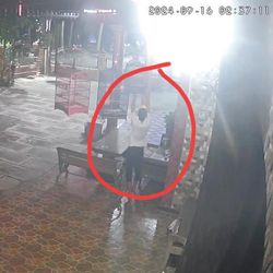 Aksi maling 4 Burung Senilai Belasan Juta Terekam CCTV