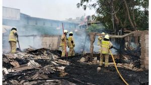 Peternakan Kambing Di Cilincing Terbakar 17 Ekor Kambing Mati