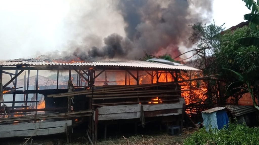 Peternakan Kambing Di Cilincing Terbakar 17 Ekor Kambing Mati