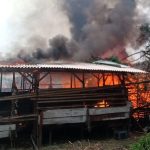 Peternakan Kambing Di Cilincing Terbakar 17 Ekor Kambing Mati