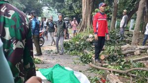 Pengguna Motor Tewas Tertimpa Batang Pohon Di Bogor