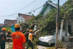 28 Rumah Rusak Akibat Hujan Deras dan Angin Kencang Di Jawa Timur