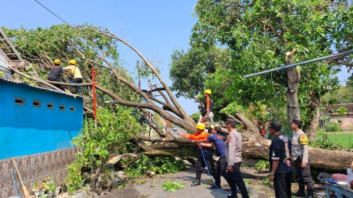 28 Rumah Rusak Akibat Hujan Deras dan Angin Kencang Di Jatim